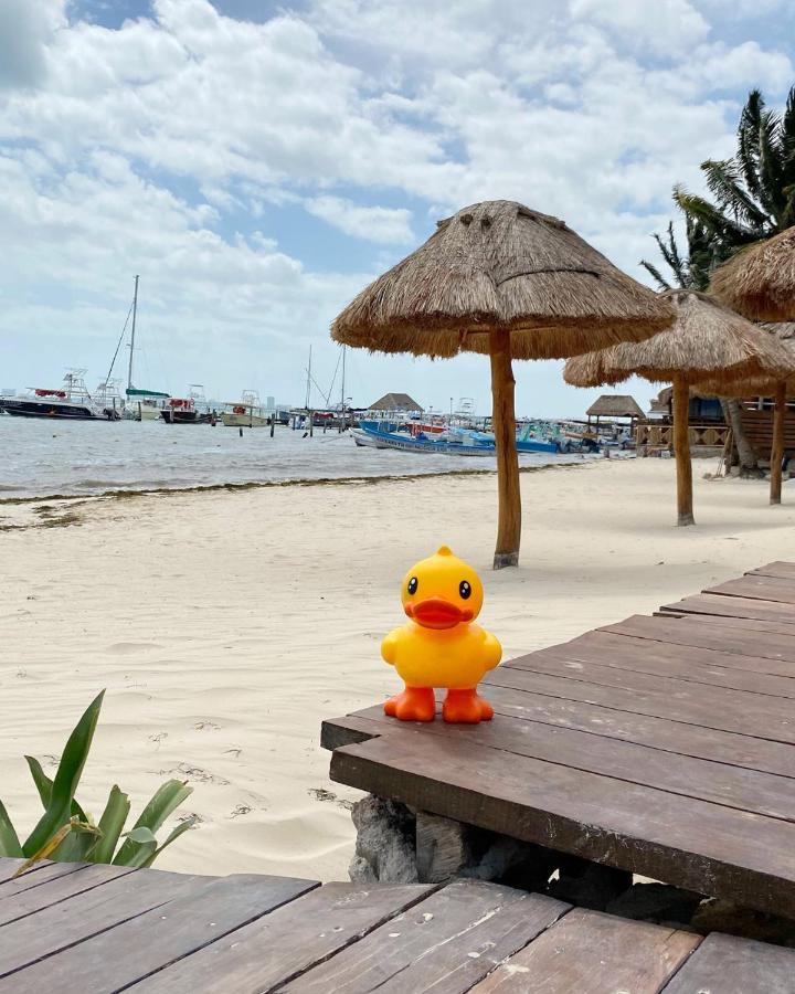 Готель Lucky Duck Pj Канкун Екстер'єр фото